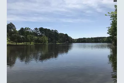 2 Crescent Lake Court, Blythewood, SC 29016 - Photo 37