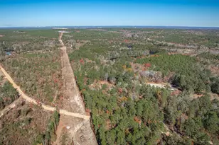 405 Frank Moorer Dr, Swansea, SC 29160 - Photo 67