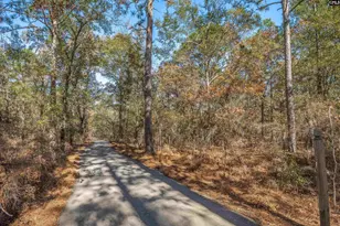 405 Frank Moorer Dr, Swansea, SC 29160 - Photo 79