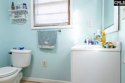 102 Wessinger Drive, Lexington, SC 29072 - Photo 17