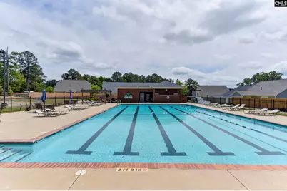 108 Quiet Cove Drive, Chapin, SC 29036 - Photo 69