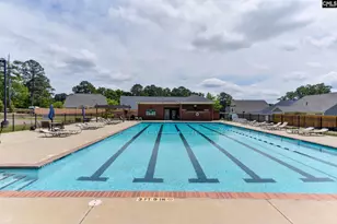 108 Quiet Cove Dr, Chapin, SC 29036 - Photo 69