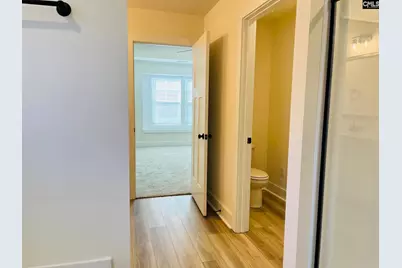 15 Fandango Court, Blythewood, SC 29016 - Photo 29