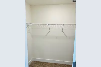 11 Fandango Court, Blythewood, SC 29016 - Photo 31