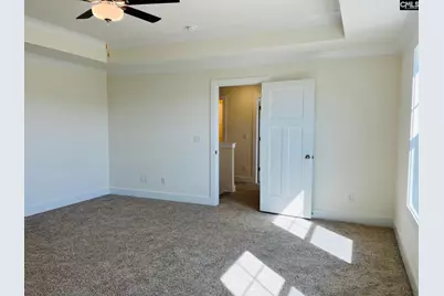 11 Fandango Court, Blythewood, SC 29016 - Photo 27