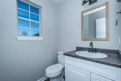 241 Dove Trace Drive, West Columbia, SC 29170 - Photo 23