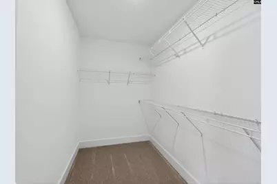 29 Elk Run Court, Chapin, SC 29036 - Photo 45