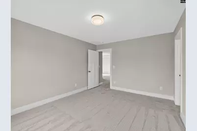 29 Elk Run Court, Chapin, SC 29036 - Photo 49