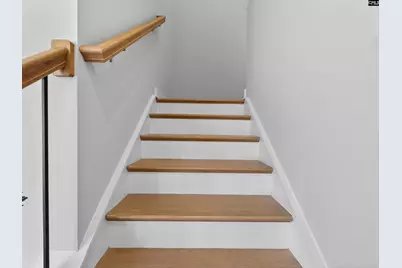 29 Elk Run Court, Chapin, SC 29036 - Photo 33