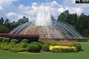 124 Ashewicke Dr, Columbia, SC 29229 - Photo 55