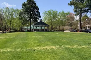 124 Ashewicke Dr, Columbia, SC 29229 - Photo 59