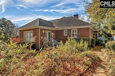 313 Dorchester Drive, Lexington, SC 29072 - Photo 5