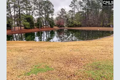 209 Farmhouse Loop, Lexington, SC 29072 - Photo 21