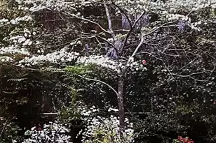 227 N Stonehedge Dr, Columbia, SC 29210 - Photo 41