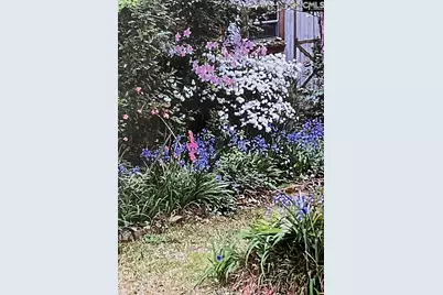 227 N Stonehedge Drive, Columbia, SC 29210 - Photo 43