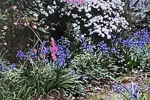 227 N Stonehedge Dr, Columbia, SC 29210 - Photo 43