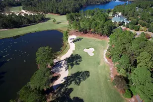 207 W Arrowleaf Ln, Elgin, SC 29045 - Photo 81