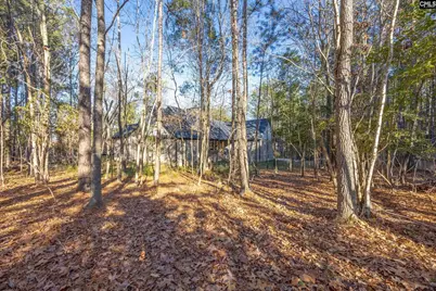 154 Pebblebranch Drive, Chapin, SC 29036 - Photo 39