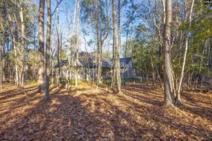 154 Pebblebranch Dr, Chapin, SC 29036 - Photo 39