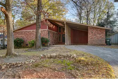 207 Maid Stone, Irmo, SC 29063 - Photo 1