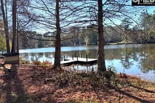 7206 Sunview Cir, Columbia, SC 29209 - Photo 43