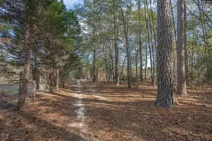 351 Adams Rd, Blythewood, SC 29016 - Photo 9