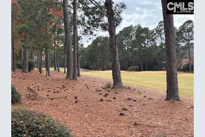 314 Turkey Point Circle, Columbia, SC 29223 - Photo 35