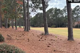 314 Turkey Point Circle, Columbia, SC 29223 - Photo 35