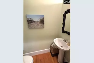 314 Turkey Point Circle, Columbia, SC 29223 - Photo 19