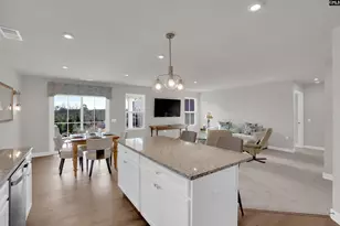 385 Switch Grass Ct, Elgin, SC 29045 - Photo 13