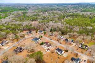 121 Hollow Tree Ct, Lugoff, SC 29078 - Photo 43