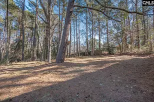 413 Beaverbrook Dr, Columbia, SC 29203 - Photo 29