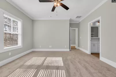 323 Conductor (Lot 26) Lane, Irmo, SC 29063 - Photo 19