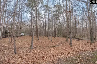 113 Soft Stone Drive, Blythewood, SC 29016 - Photo 71