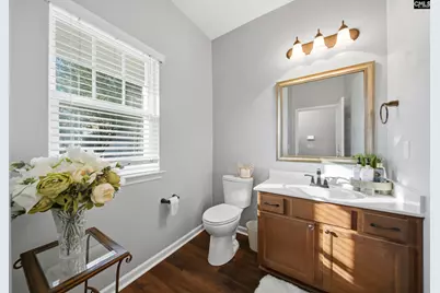 229 Congaree Mill Lane, West Columbia, SC 29172 - Photo 3