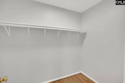 408 Gallatin Circle, Irmo, SC 29063 - Photo 19