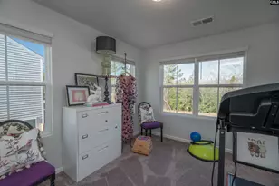 225 Flatsedge Ct, Lexington, SC 29072 - Photo 25