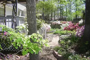 209 Kings Creek Rd, Irmo, SC 29063 - Photo 21
