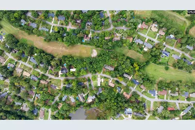 436 White Falls Drive, Columbia, SC 29212 - Photo 5