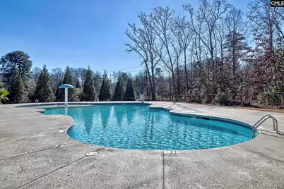 113 Mill Glen Drive, Lexington, SC 29072 - Photo 3