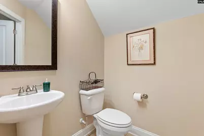 212 Renard Roux Court, Gilbert, SC 29054 - Photo 29