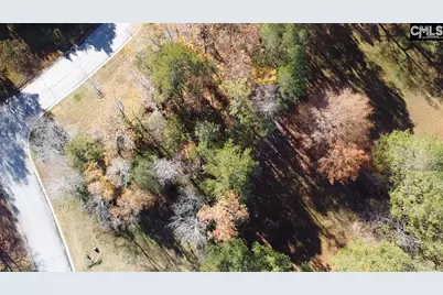 101 Summer Branch Lane, Irmo, SC 29063 - Photo 3