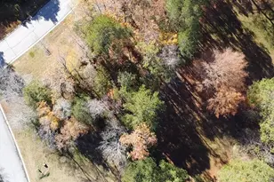 101 Summer Branch Lane, Irmo, SC 29063 - Photo 3