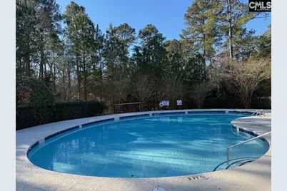 101 Summer Branch Lane, Irmo, SC 29063 - Photo 9