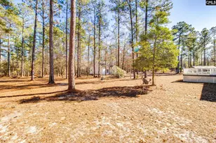 1335 Hwy 21, Swansea, SC 29160 - Photo 39