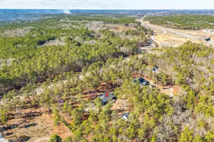 1335 Hwy 21, Swansea, SC 29160 - Photo 53