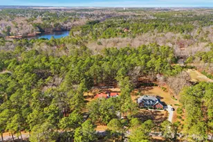 113 Tam-O-Shanter Dr, Blythewood, SC 29016 - Photo 39