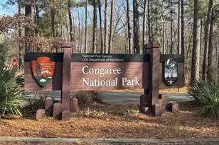 901 Old Bluff Rd, Hopkins, SC 29061 - Photo 15