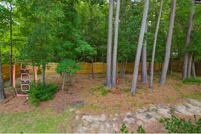 261 Popes Lane, Lexington, SC 29072 - Photo 23