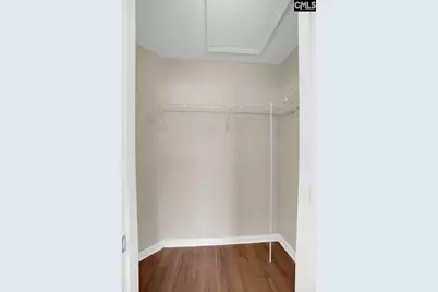115 Merowey Court, Chapin, SC 29036 - Photo 19